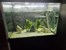 Fishtank with Cabinet Fish