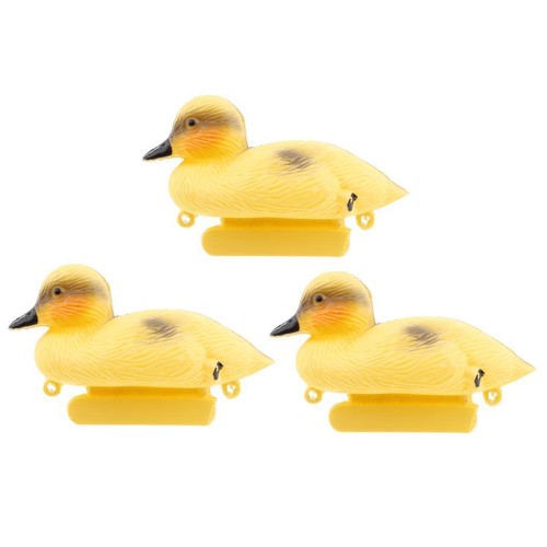 Floating duck ducklings - 3x,
