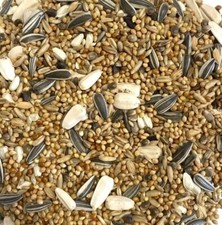 Cockatiel & Parakeet Mix Loose Bulk - Bird Seed Food Wild Pet Cage Caged Aviary