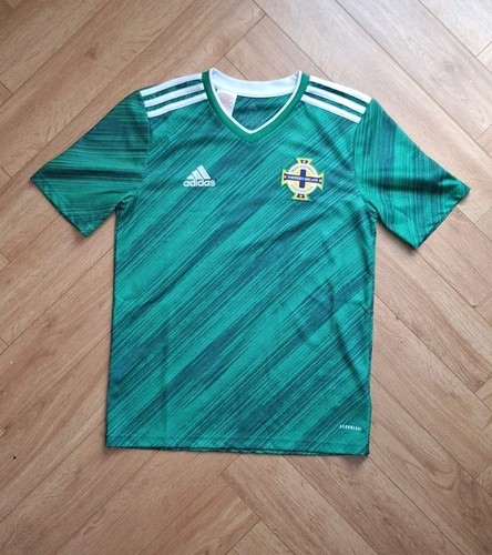 Northern ireland football - northern, home
