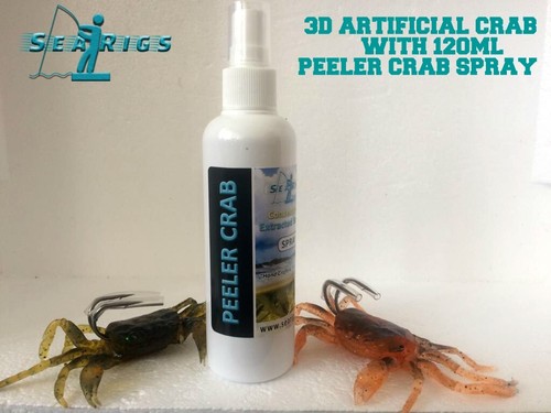 Natural peeler crab - natural,