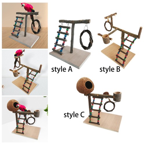 Pet bird play - stand, parrot