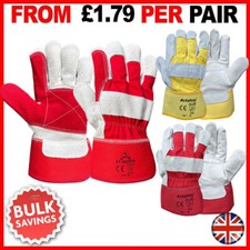 Canadian Rigger DOUBLE PALM