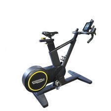 TechnoGym SkillBike Upright Geared Bike - Commercial Gym Equipment