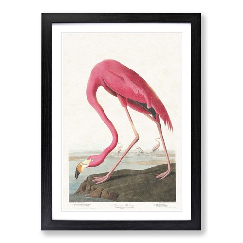 Pink flamingo landscape - landscape, bird