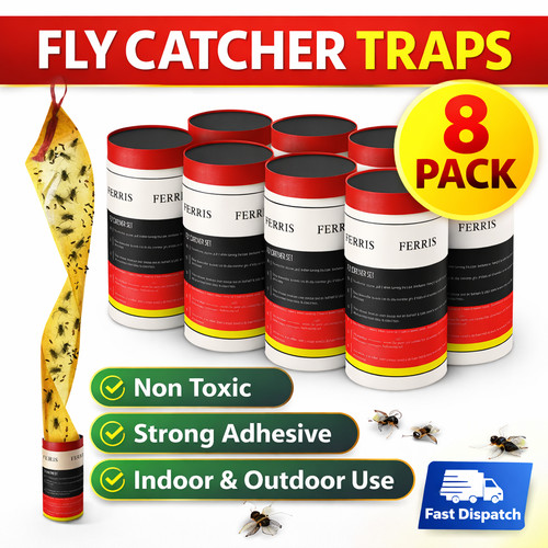 Fly traps sticky - traps,