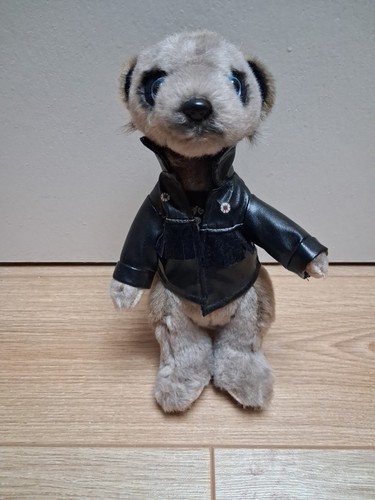 Compare the meerkat - compare,