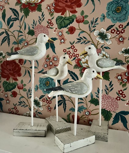 Large seagull birds 35cm - seagull,