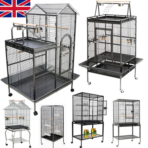 Extra large bird - extra, cage