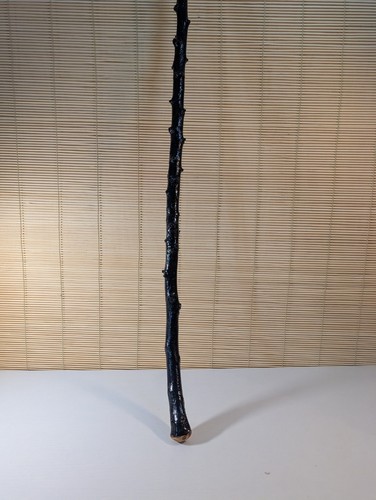 Blackthorn walking stick - blackthorn,
