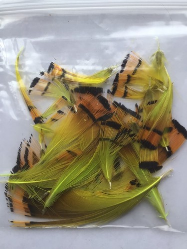 Fly tying golden pheasant - fly,