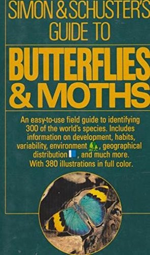 Butterflies by mauro - gd,