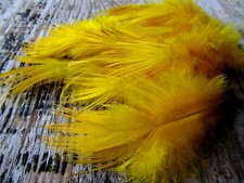 IFS Bleached Golden Pheasant Rump Dyed Picric Yellow GP Shrimp Octopus