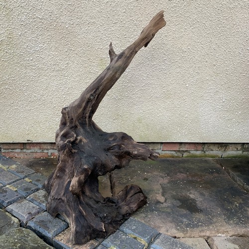 Aquarium bogwood large - aquarium,