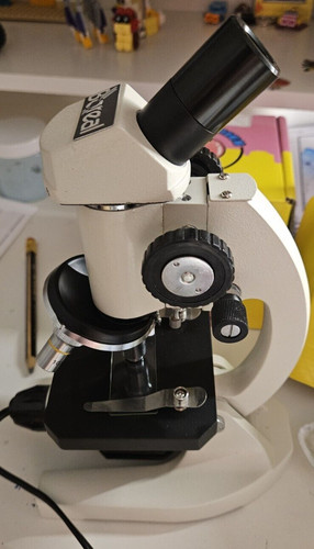 Optical boreal microscope - boreal, wf