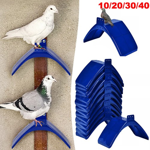 40pcs dove pigeon rest - 10/20/40pcs,