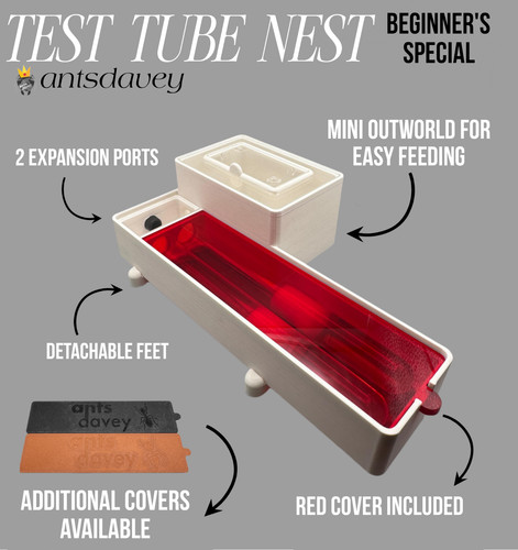 Test tube nest - (ant, farm