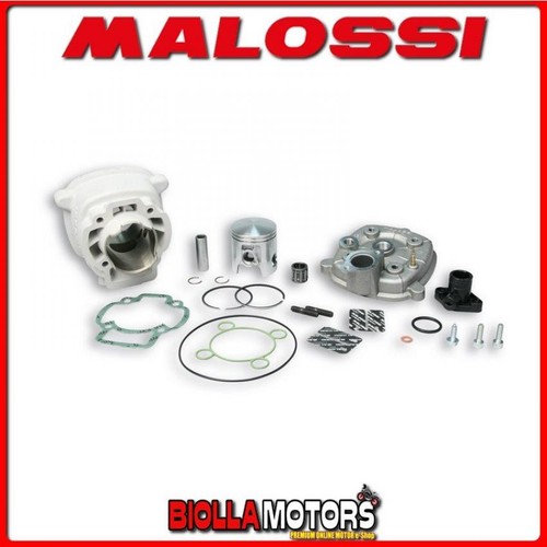 318466 malossi mhr - mhr, cylinder