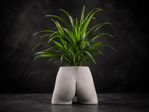 Bum planter cast stone plant - bum,