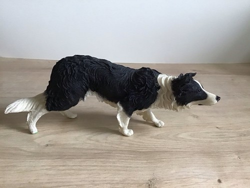 Border collie country - border,