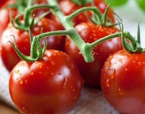 Piccolo red cherry tomato - piccolo,