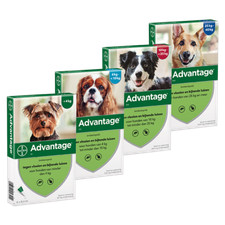 ADVANTAGE¹ chien dog protection externe flea 1-40 kg XS-S-M-L-XL (4 spot on)