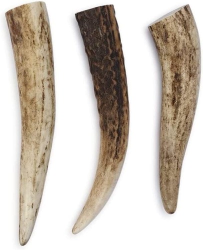 Antler dog chew small - dog,