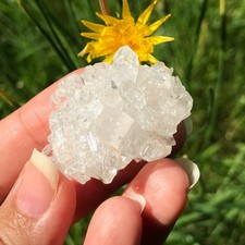 Apophyllite Cluster Crystal Raw Natural Specimen Sparkly Zeolite