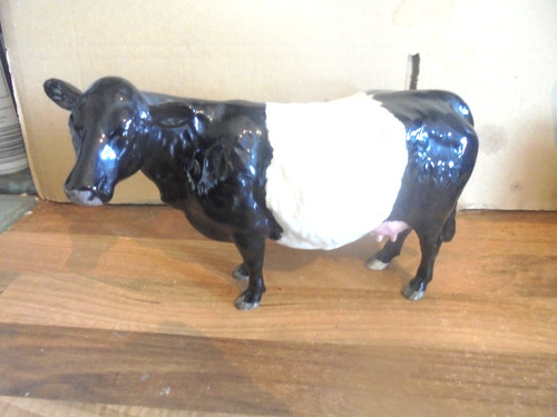 Beswick belted galloway cow - beswick,