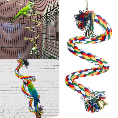 Parrot swing chew - parrot,