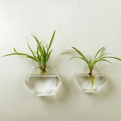 3pcs hexagon hanging planters - hexagon,