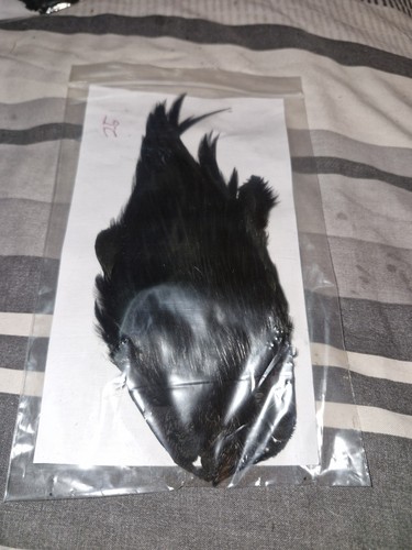 Cock cape fly tying - cock, cape,fly