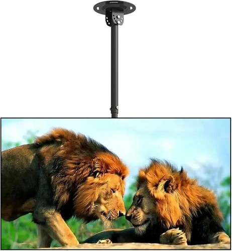 Suptek ceiling bracket - ceiling, tv