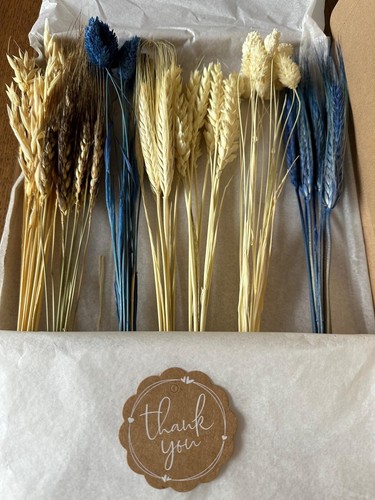 Posy bouquet stems dried - posy,