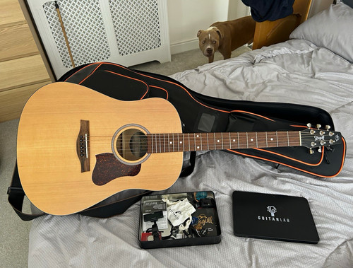 Seagull dreadnought - seagull,