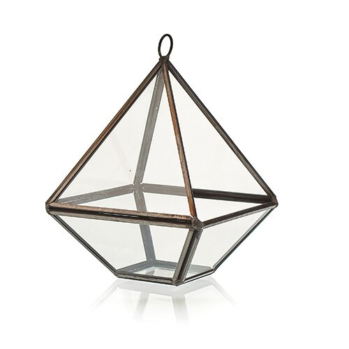 Glass terrarium terrariums - glass,