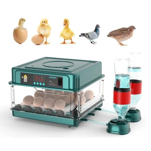 Eggs double electric - double,