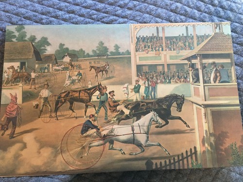 Harness racing horse - racing,