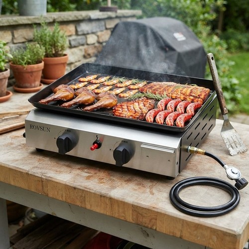 Portable gas griddle - griddle, burner