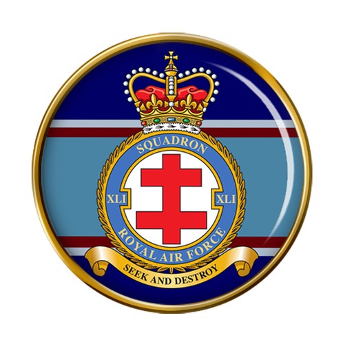 Squadron raf pin badge - pin,