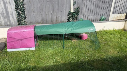 Omlet eglu pink guinea pig - eglu,