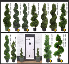 LARGE Boxwood Topiary