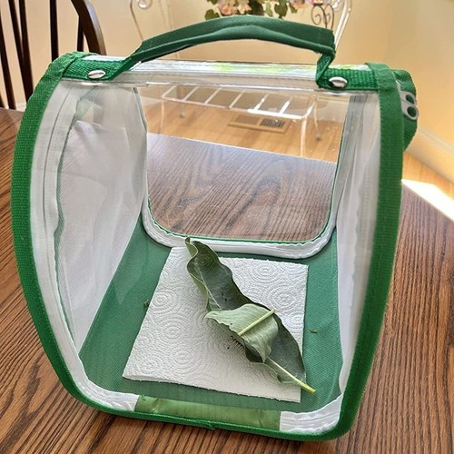 Butterflies mesh cage - cage, raising