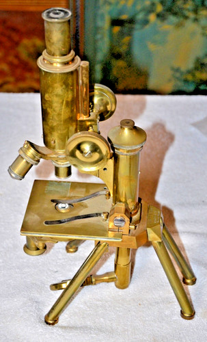 Antique brass rare swift - antique,