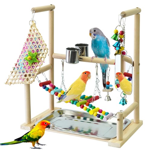 Wooden parrot play - play, with