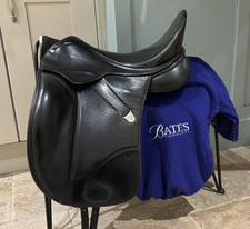 17.5” (44cm) Isabell Werth