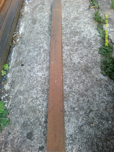 Brazilian mahogany kiln - brazilian, mahogany,