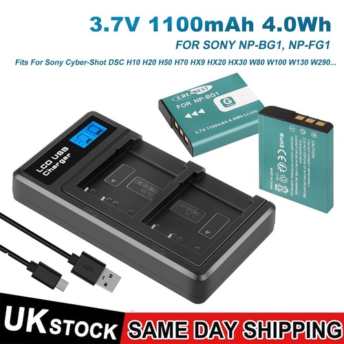 Bg1 fg1 battery charger - 2x, battery+charger