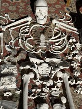 Disarticulated Human Skeleton, Model for Anatomy Over 150 Detailed Parts Amazing