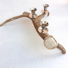 Antler Candlestick Holder
